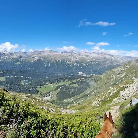 فندق مبيت وإفطار La Sctaleta Mesocco