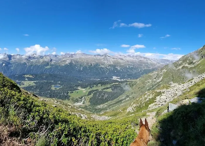 Alojamento de Acomodação e Pequeno-almoço La Sctaleta Mesocco